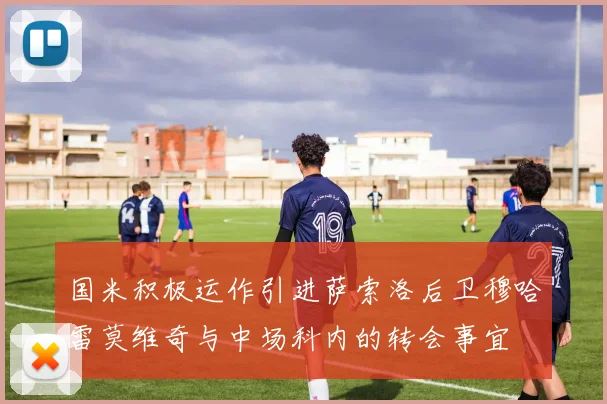 国米积极运作引进萨索洛后卫穆哈雷莫维奇与中场科内的转会事宜