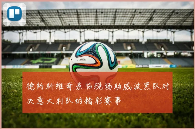 德约科维奇亲临现场助威波黑队对决意大利队的精彩赛事